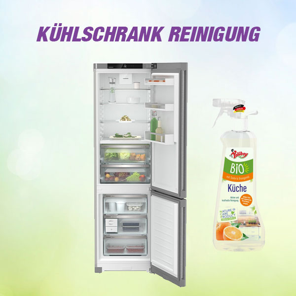 Kühlschrank richtig reinigen – Tipps und Tricks