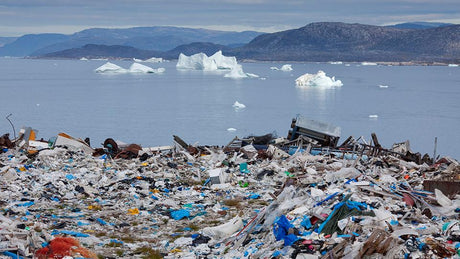 Plastikmüll – ein ernstzunehmendes Problem 