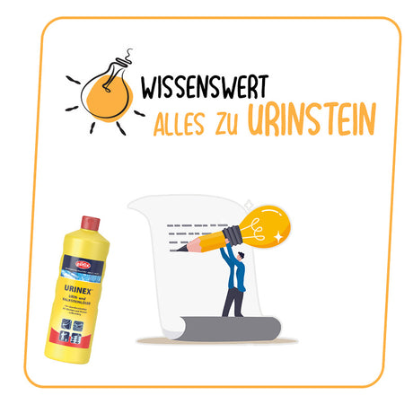 Urinstein - so entsteht er und so wird er wieder entfernt