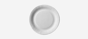 disposable tableware