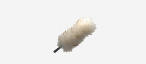 feather duster