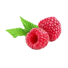 Zwei frische Himbeeren mit grünen Blättern auf weißem Hintergrund.